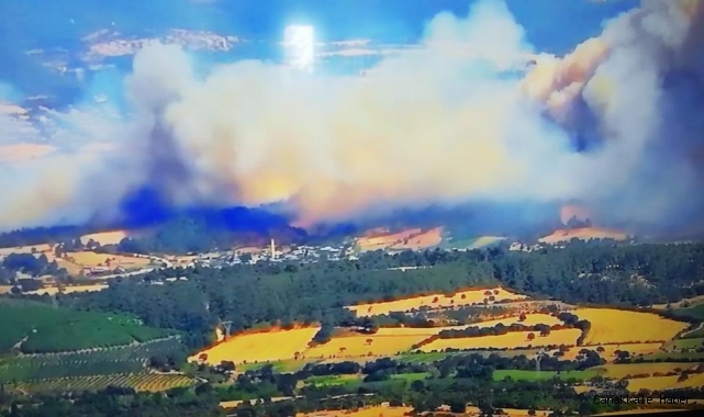 Bayramiç&#039;te orman yangını