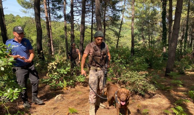 Beykoz&#039;da ormanlık alanlarda denetim