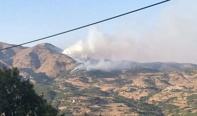 Bingöl&#039;de 2 farklı noktada orman yangını