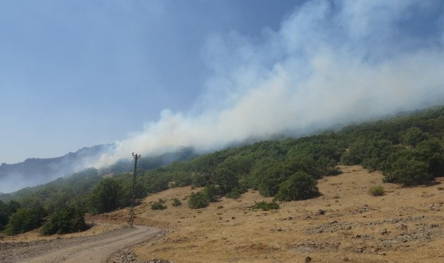Bingöl&#039;deki orman yangına 100 kişilik ekip müdahale ediyor