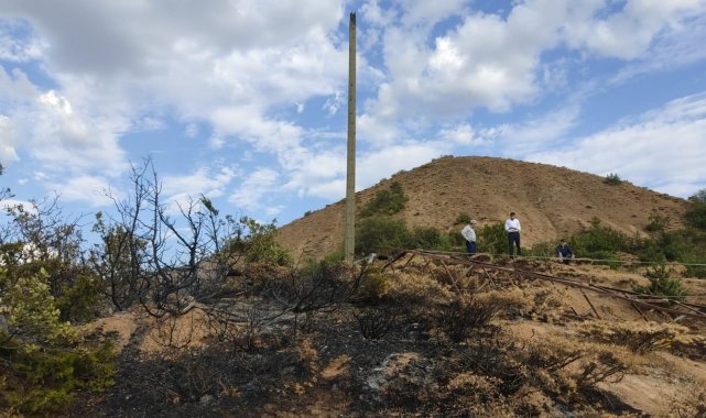 Bingöl&#039;deki orman yangını söndürüldü