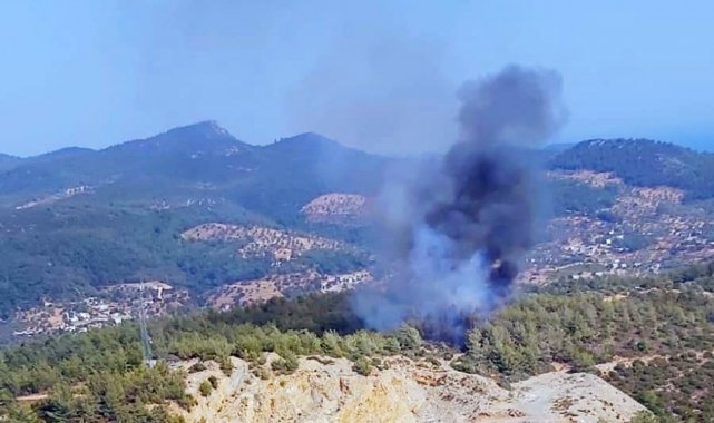 Bodrum&#039;daki yangın büyümeden kontrol altına alındı