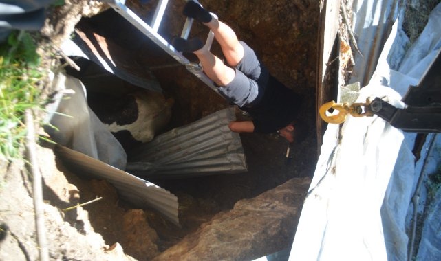 Bolu&#039;da, 3 metrelik çukura düşen ineği itfaiye kurtardı