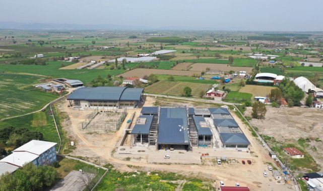 Böylesi ancak büyük şehirlerde olur