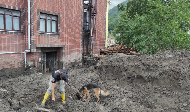 Bozkurt&#039;ta selde kaybolan vatandaşlar kadavra köpekleri ile aranıyor