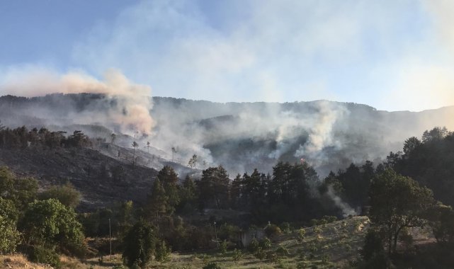 Bucak yangınında 53 ev boşaltıldı