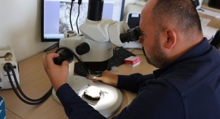 Bugüne kadar hiç rastlanmayan 3 yeni tür bulundu