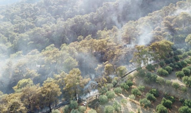 Buharkent&#039;teki orman yangını kontrol altına alındı
