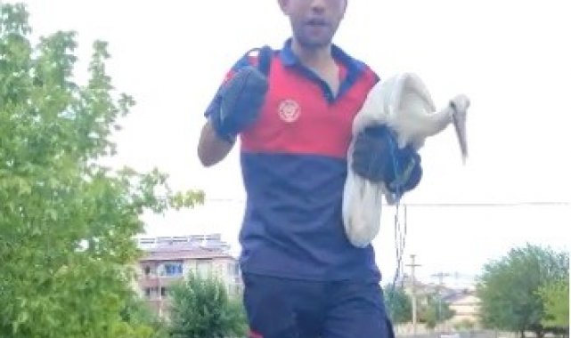 Cami kubbesindeki zincire ayağı takılan leylek kurtarıldı