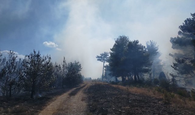 Çanakkale&#039;de orman yangını alevler gökyüzünü kapladı