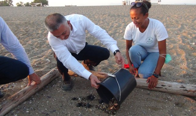 Deniz Kaplumbağaları Vali Yazıcı&#039;nın elleriyle denizle buluştu