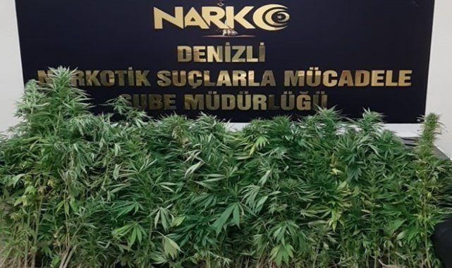 Denizli&#039;de 11 zehir taciri gözaltına alındı