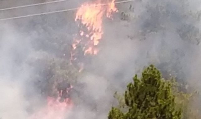 Denizli&#039;de yerleşim yerine yakın alanda orman yangını çıktı