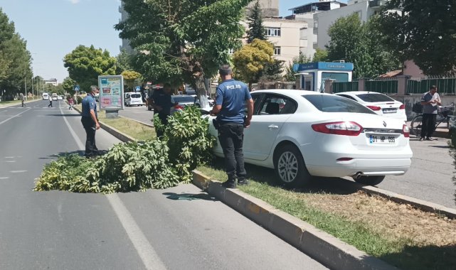 Direksiyon başında kalp krizi geçiren öğretim görevlisi hayatını kaybetti