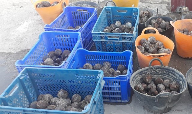 Diyarbakır&#039;da Osmanlı dönemine ait çok sayıda el bombası bulundu