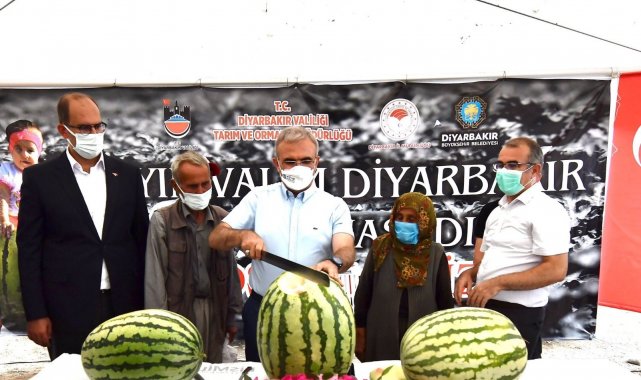 Diyarbakır&#039;da yarışacak tescilli karpuzların hasadı başladı
