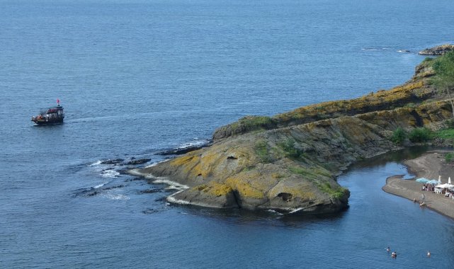 Doğal &#039;Timsah Adası&#039; şaşırtıyor