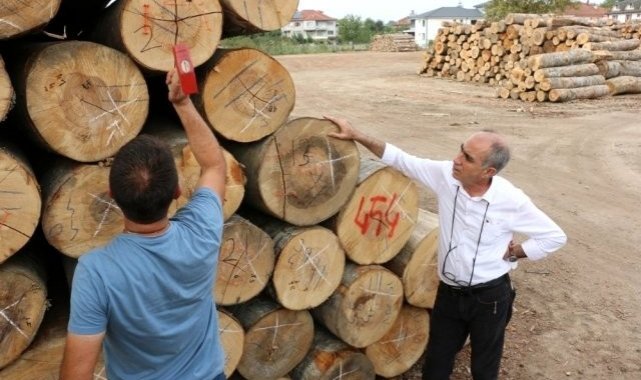 Düzce&#039;de 457 bin metreküp odun üretildi