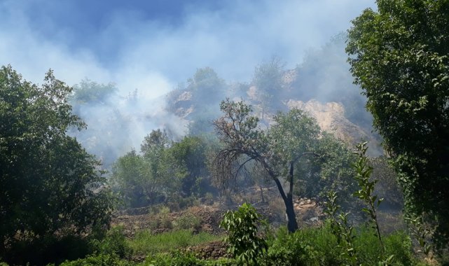 Elazığ&#039;da çıkan orman yangını kısa sürede söndürüldü