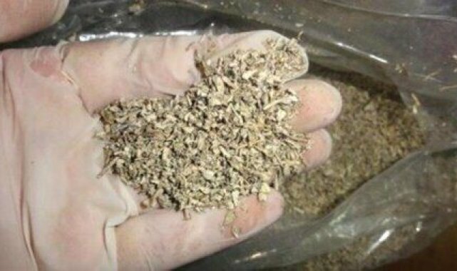 Elazığ&#039;da jandarmadan uyuşturucu operasyonu