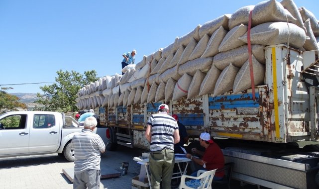 Emet ve Hisarcık&#039;ta haşhaş kapsülü alımları tamamlandı
