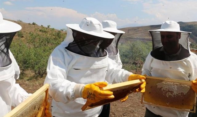 Erzincan'da bal hasadı başladı