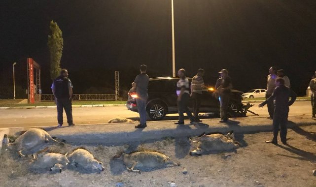 Erzincan'da otomobil sürüye daldı: 25 koyun telef oldu