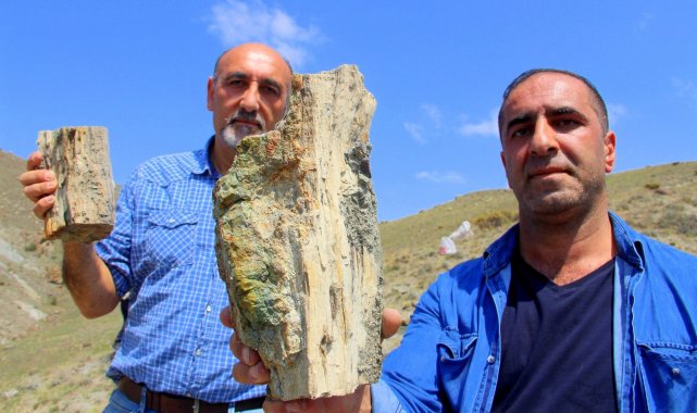 Erzurum&#039;da 160 milyon yıllık keşif