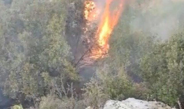 Gaziantep&#039;te orman yangını