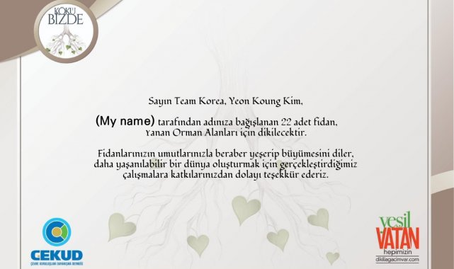 Güney Kore-Türkiye dostluğu, 120 bin fidanla kökleşecek