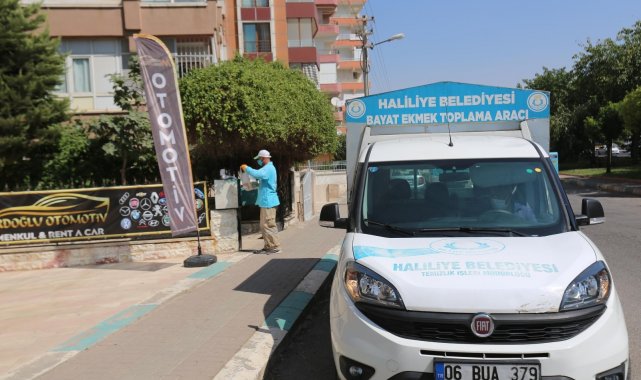 Haliliye&#039;de ekmek israfı önleniyor