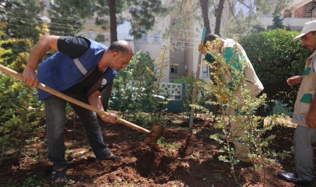 Haliliye&#039;de parklar yenileniyor