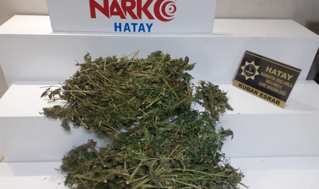 Hatay&#039;da uyuşturucu operasyonu