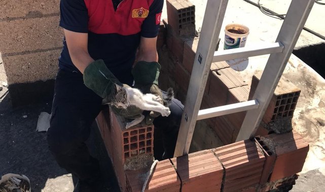 Havalandırmaya düşen kedi kurtarıldı