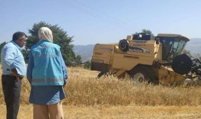 Hisarcık&#039;ta biçerdöver ile hasat kontrolleri