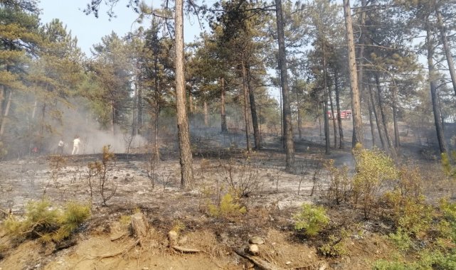 Honaz&#039;da ikinci yangında kontrol altına alındı