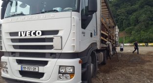 Hopa'da dorsesi hasta atlarla dolu tırı görenler ne yapacağını şaşırdı