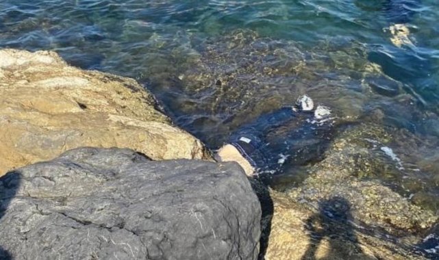 İskenderun&#039;da barınakta erkek cesedi bulundu