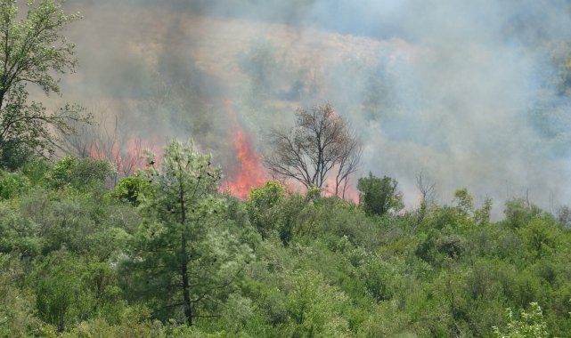 Isparta Sütçüler&#039;deki yangın büyüyor