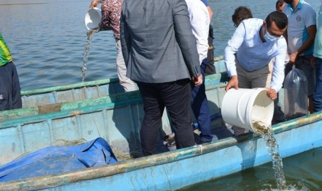 Isparta&#039;da su kaynaklarına 933 bin 720 adet balık bırakıldı