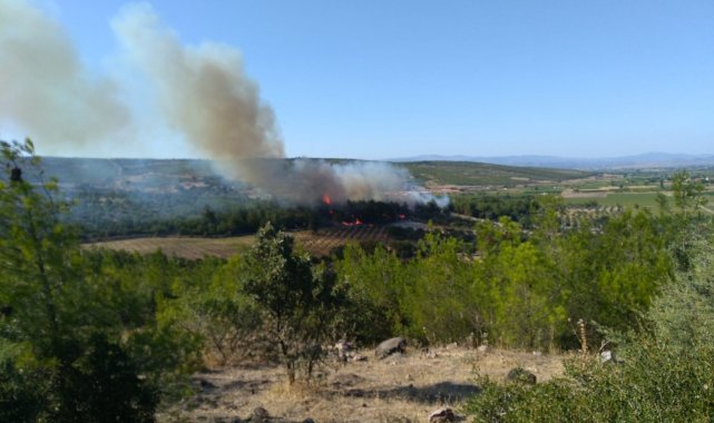 İzmir&#039;de 1 günde 3&#039;üncü yangın
