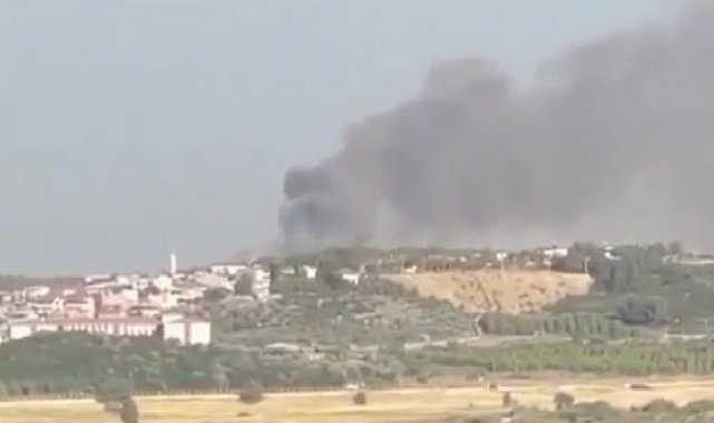 İzmir&#039;de orman yangını