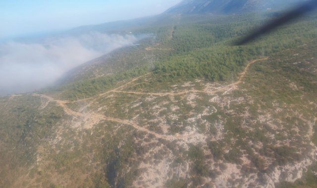 İzmir&#039;deki orman yangını kısmen kontrol altında
