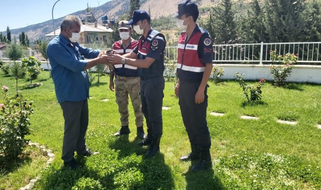 Jandarmanın bulduğu yaralı atmaca tedavi altına alındı