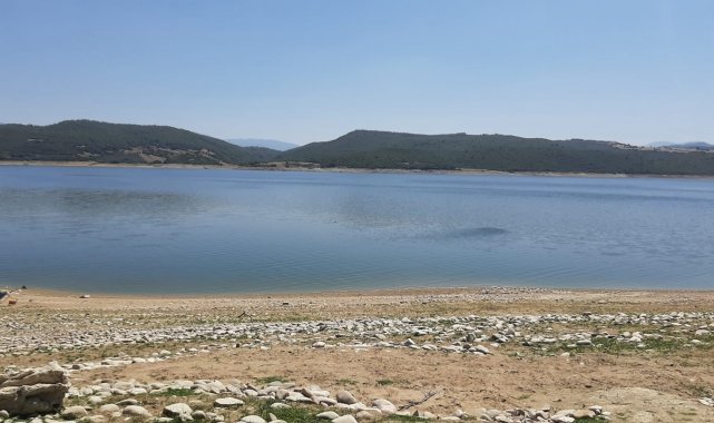 Kahramanmaraş&#039;ta düşen uçağın karabatak kuş sürüsüne çarptığı iddia edildi