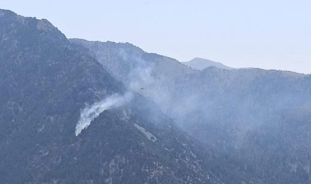 Kahramanmaraş&#039;ta orman yangını