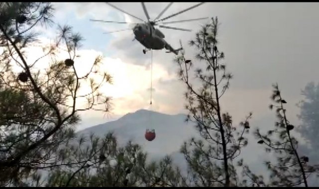 Kahramanmaraş&#039;ta orman yangınında 3 hektar alan zarar gördü