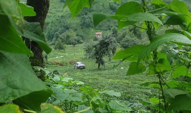 Kamyonet çay bahçesine yuvarlandı, 150 metre yuvarlanan araçtakilerin burnu bile kanamadı