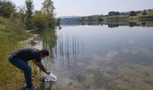 Kandıra&#039;daki göletlere 64 bin yavru sazan bırakıldı