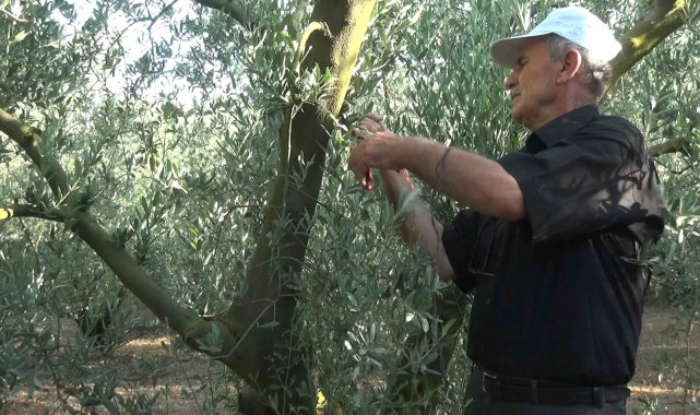 Karacabey'de çekilen 'Tarım Sohbetleri' ilgi görüyor